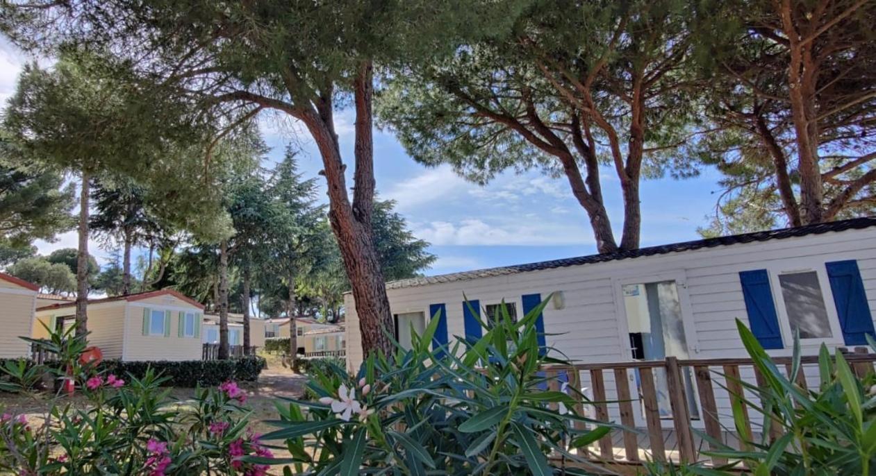Domaine Residentiel De Plein Air Odalys La Pinede แอกด์ ภายนอก รูปภาพ