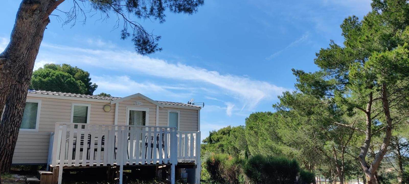 Domaine Residentiel De Plein Air Odalys La Pinede แอกด์ ภายนอก รูปภาพ
