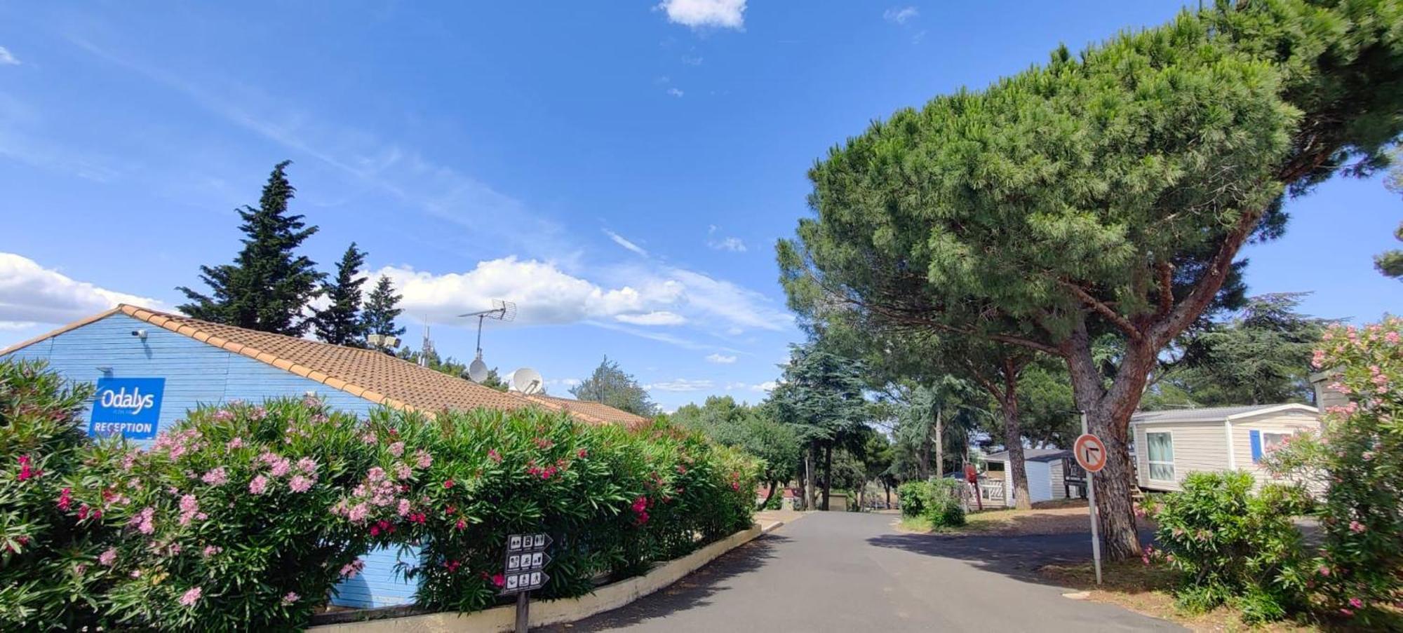 Domaine Residentiel De Plein Air Odalys La Pinede แอกด์ ภายนอก รูปภาพ